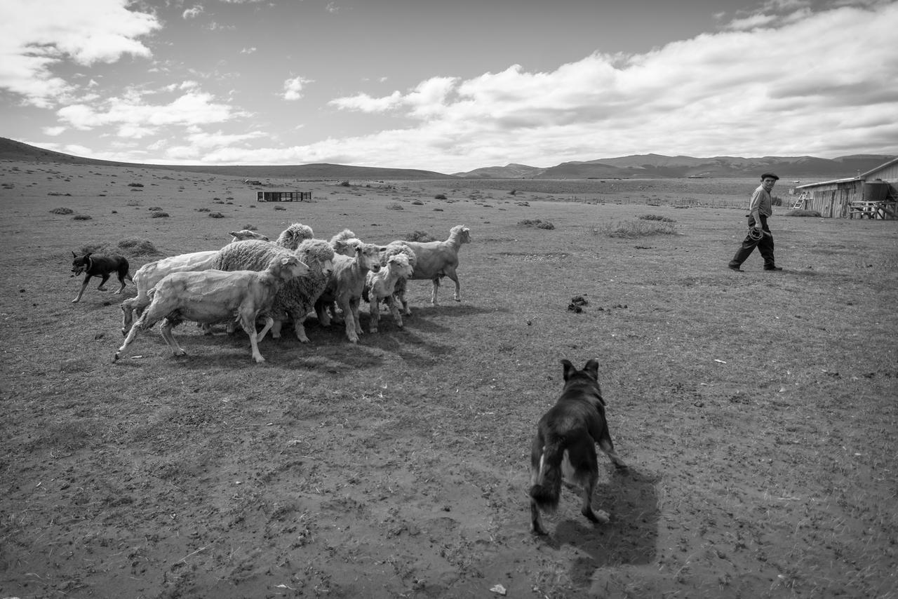 Estancia Dos Elianas Torres del Paine National Park Екстериор снимка