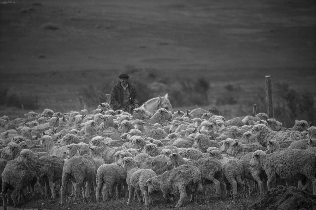 Estancia Dos Elianas Torres del Paine National Park Екстериор снимка